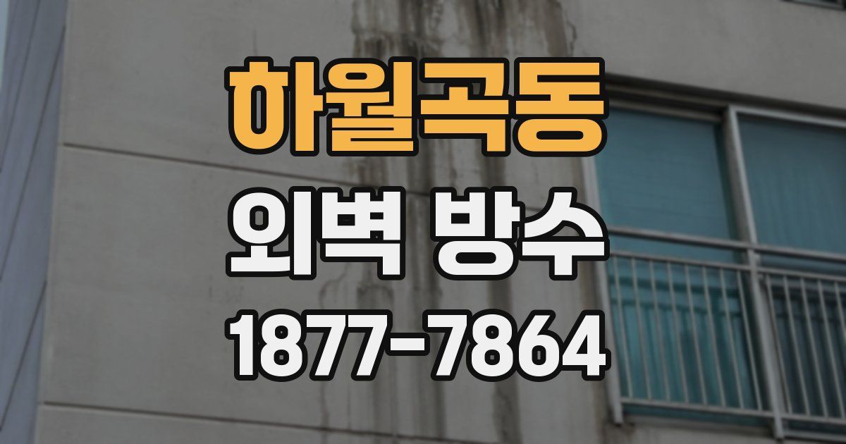 하월곡동 외벽 방수