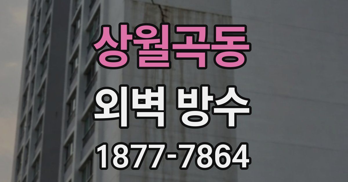상월곡동 외벽 방수