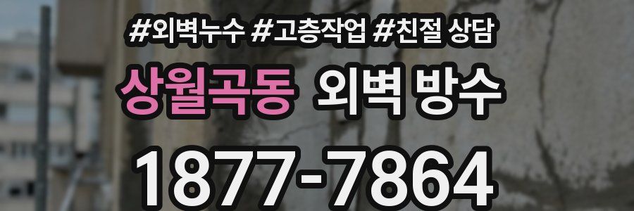 상월곡동 외벽 방수