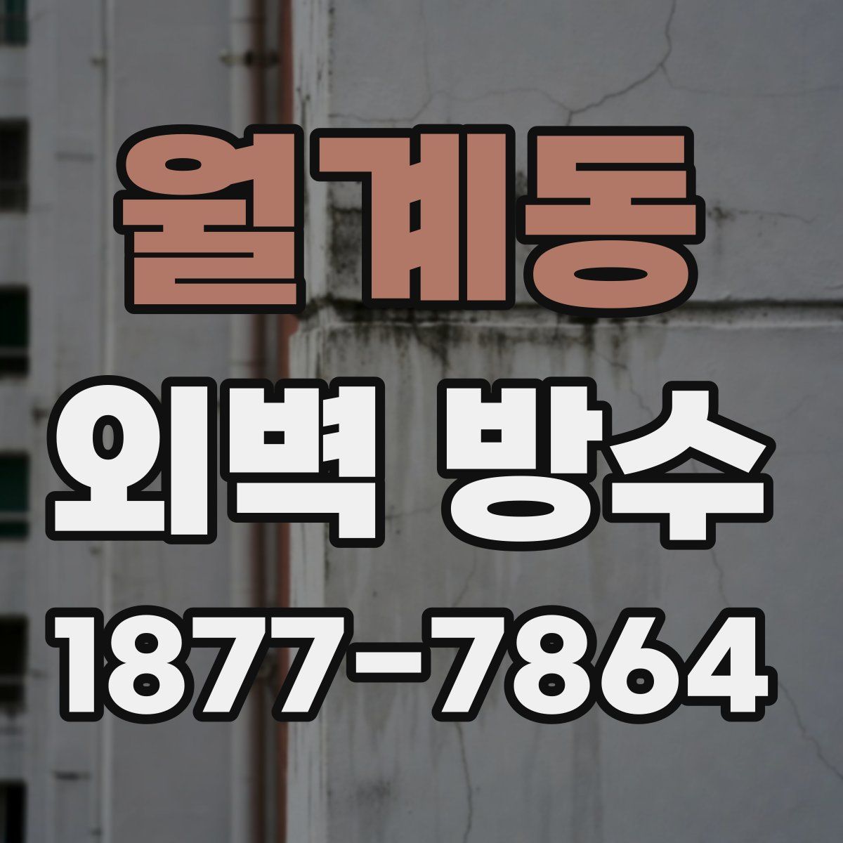 월계동 외벽 방수
