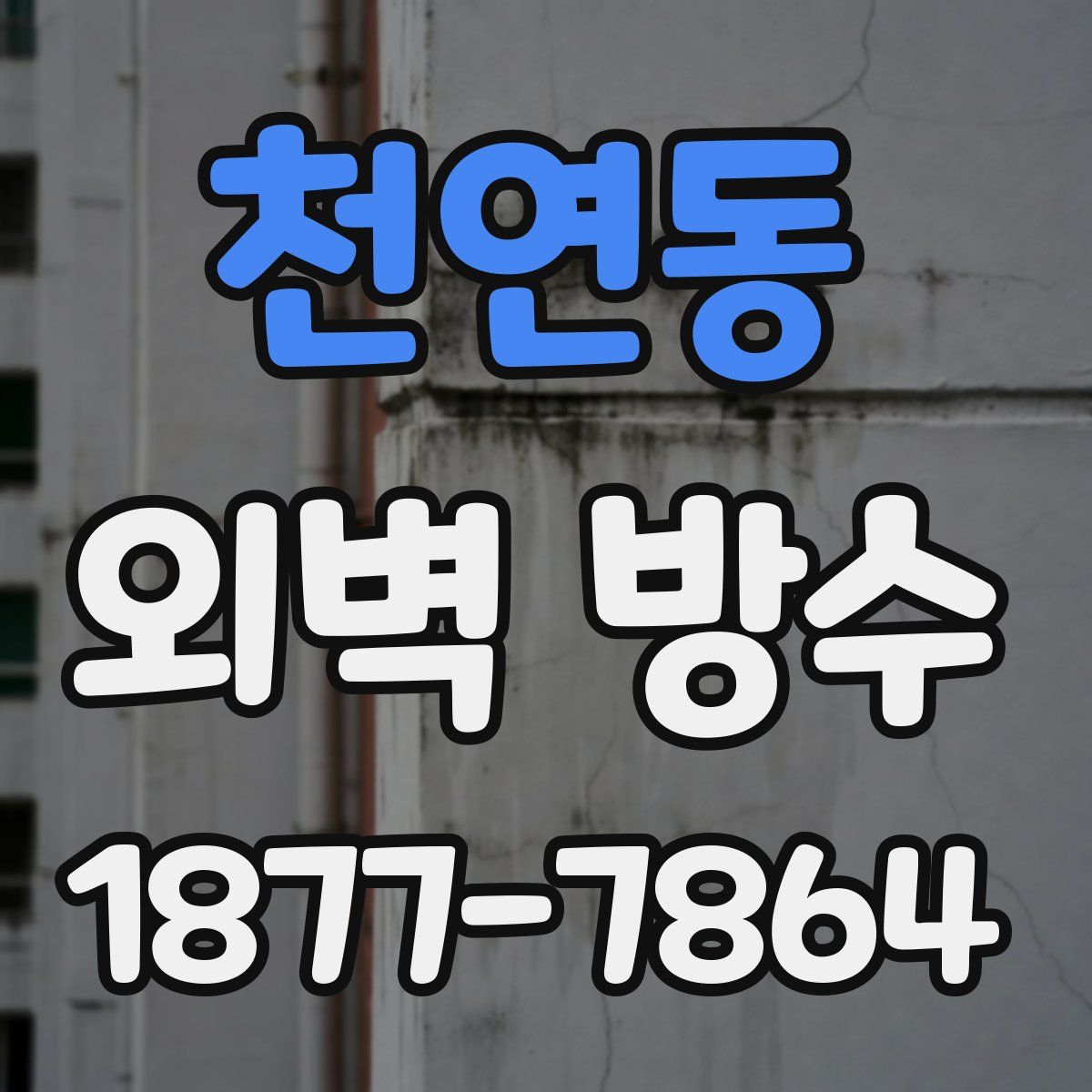 천연동 외벽 방수