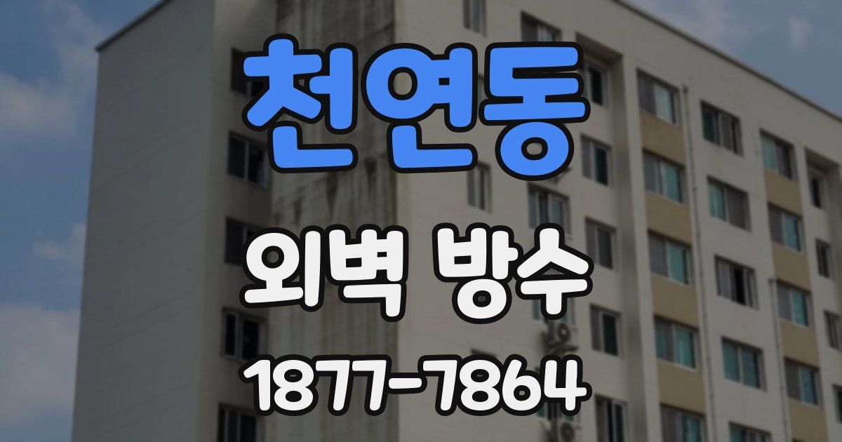 천연동 외벽 방수