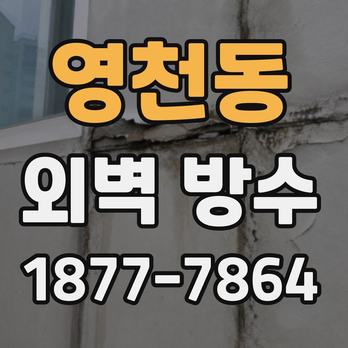 영천동 외벽 방수