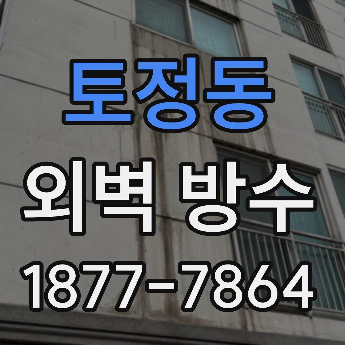 토정동 외벽 방수