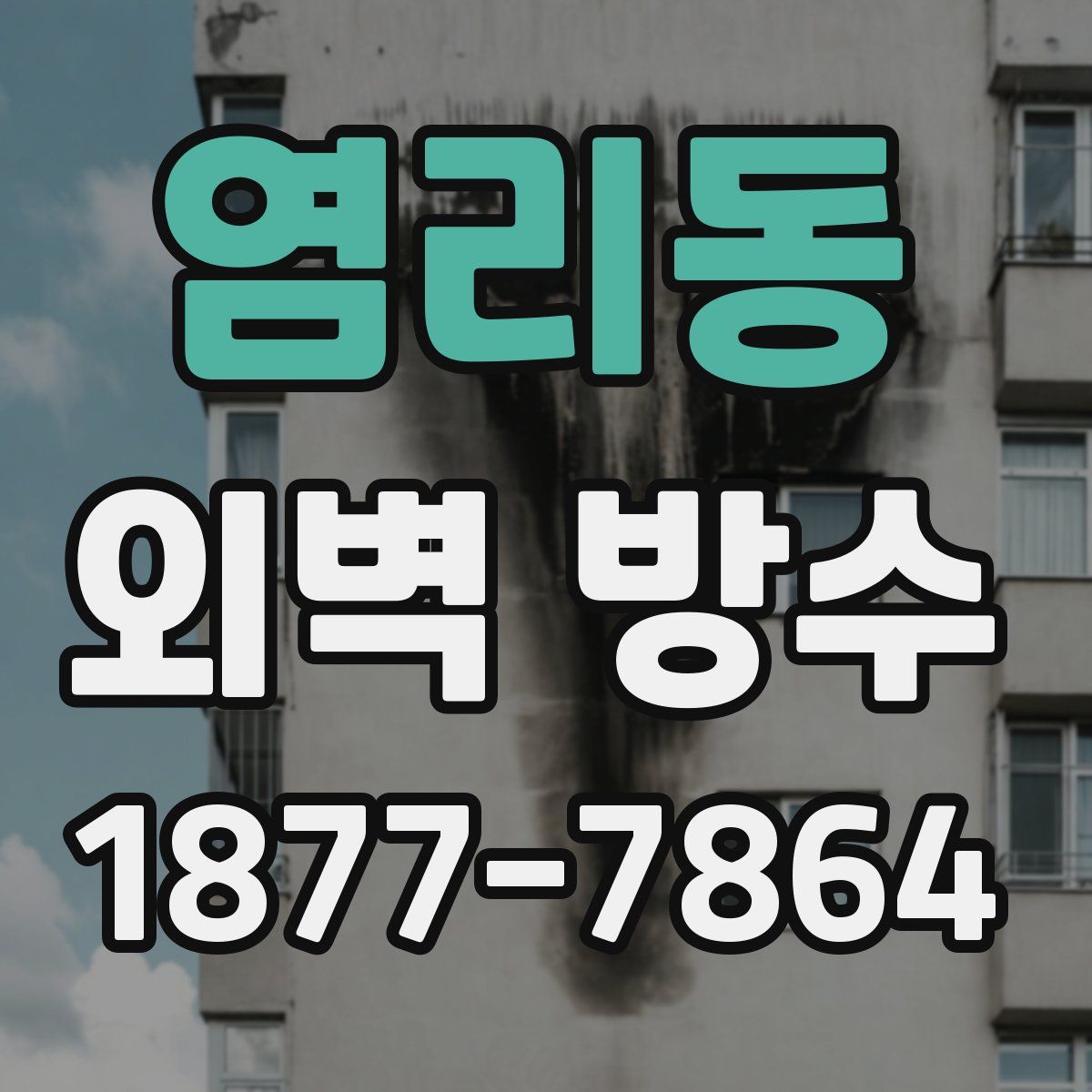 염리동 외벽 방수