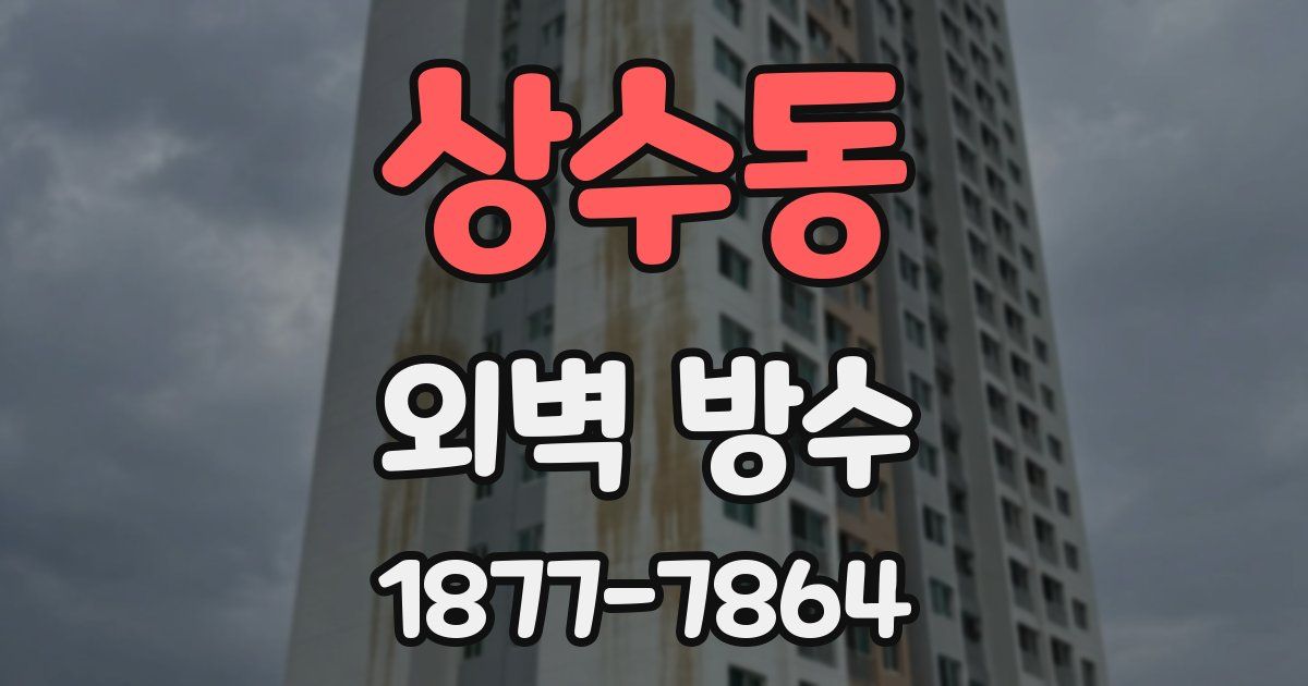 상수동 외벽 방수