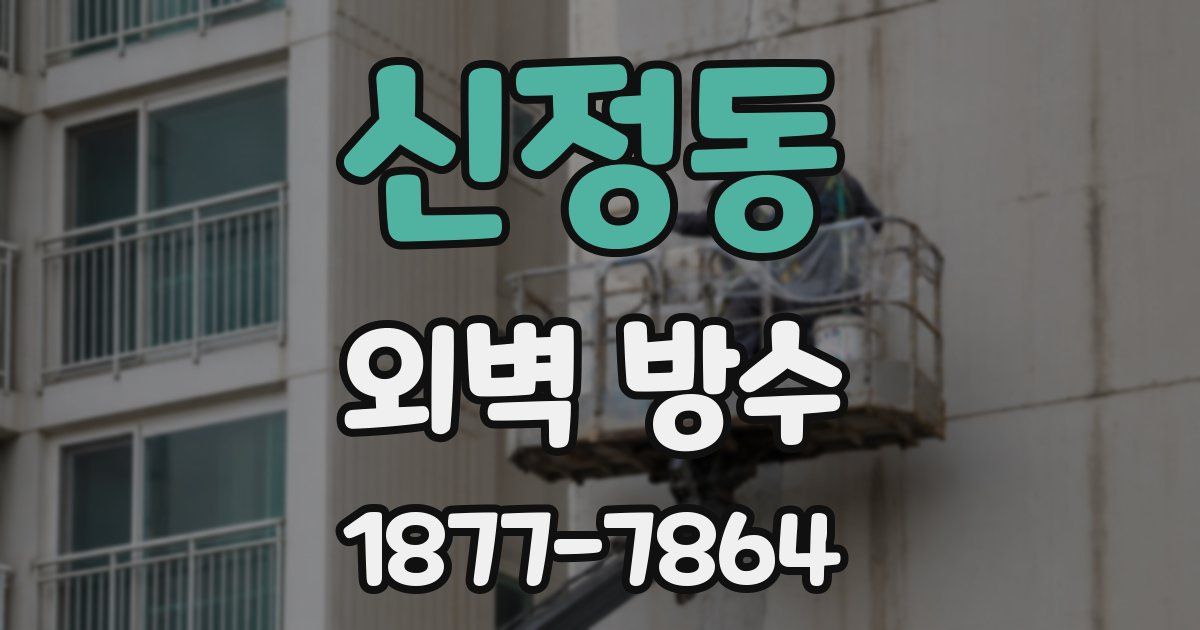 신정동 외벽 방수