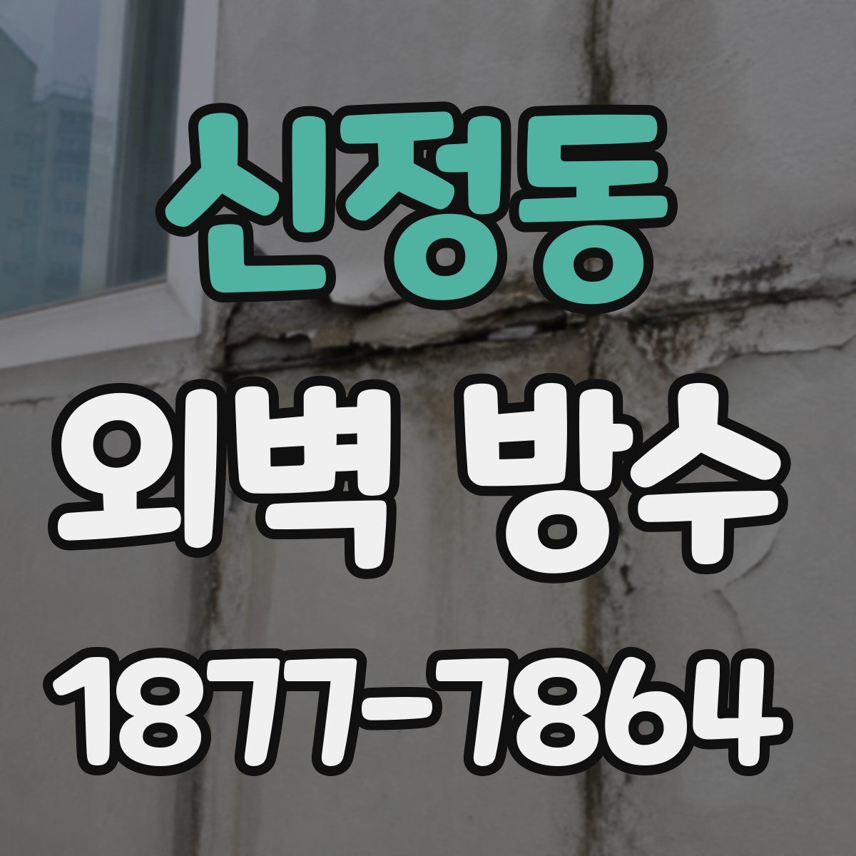신정동 외벽 방수