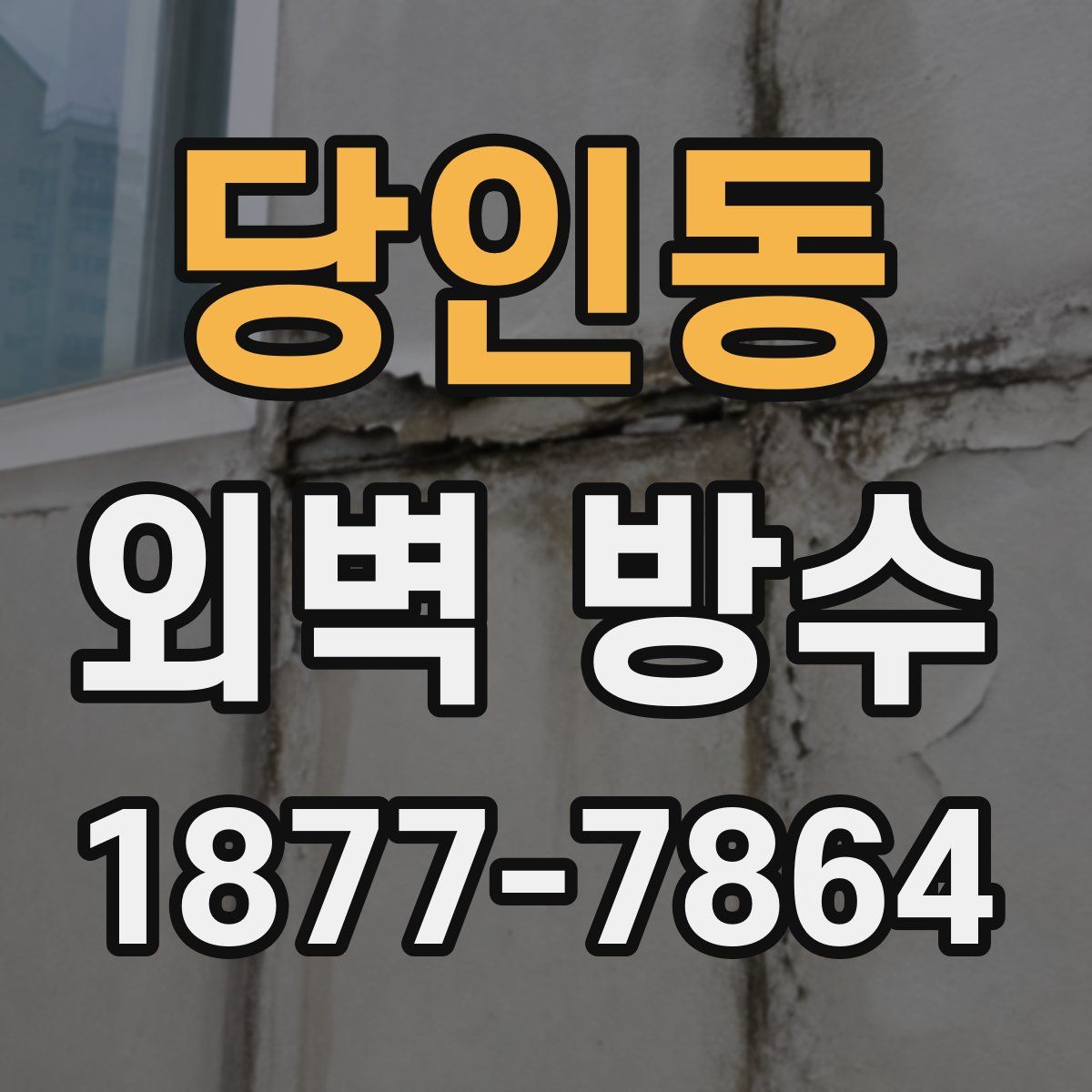 당인동 외벽 방수