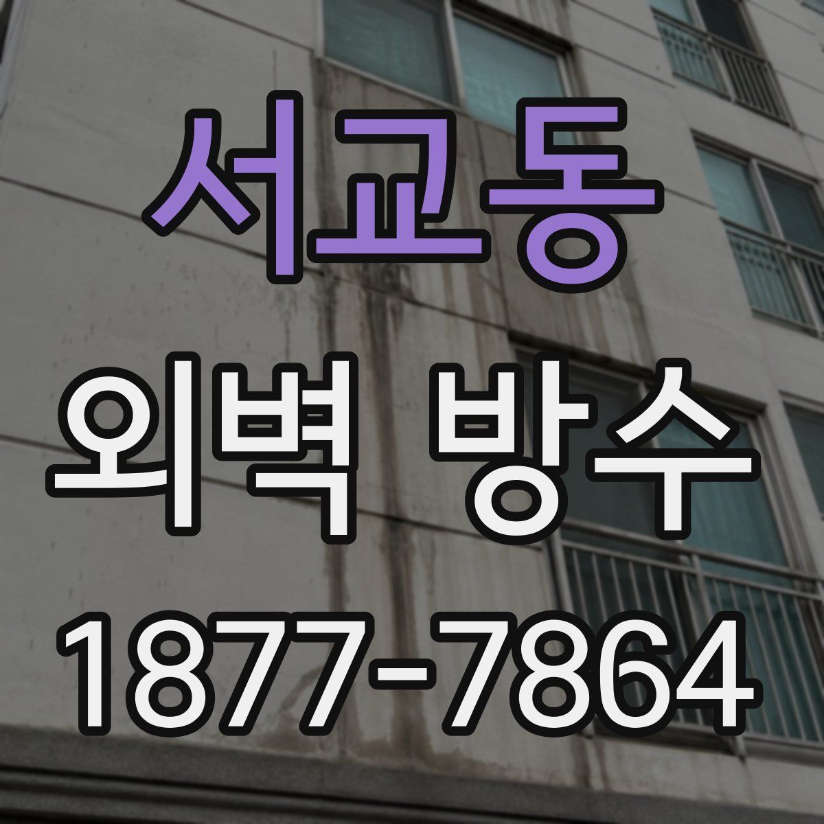서교동 외벽 방수