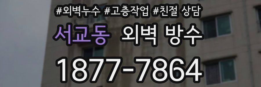 서교동 외벽 방수