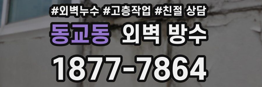 동교동 외벽 방수