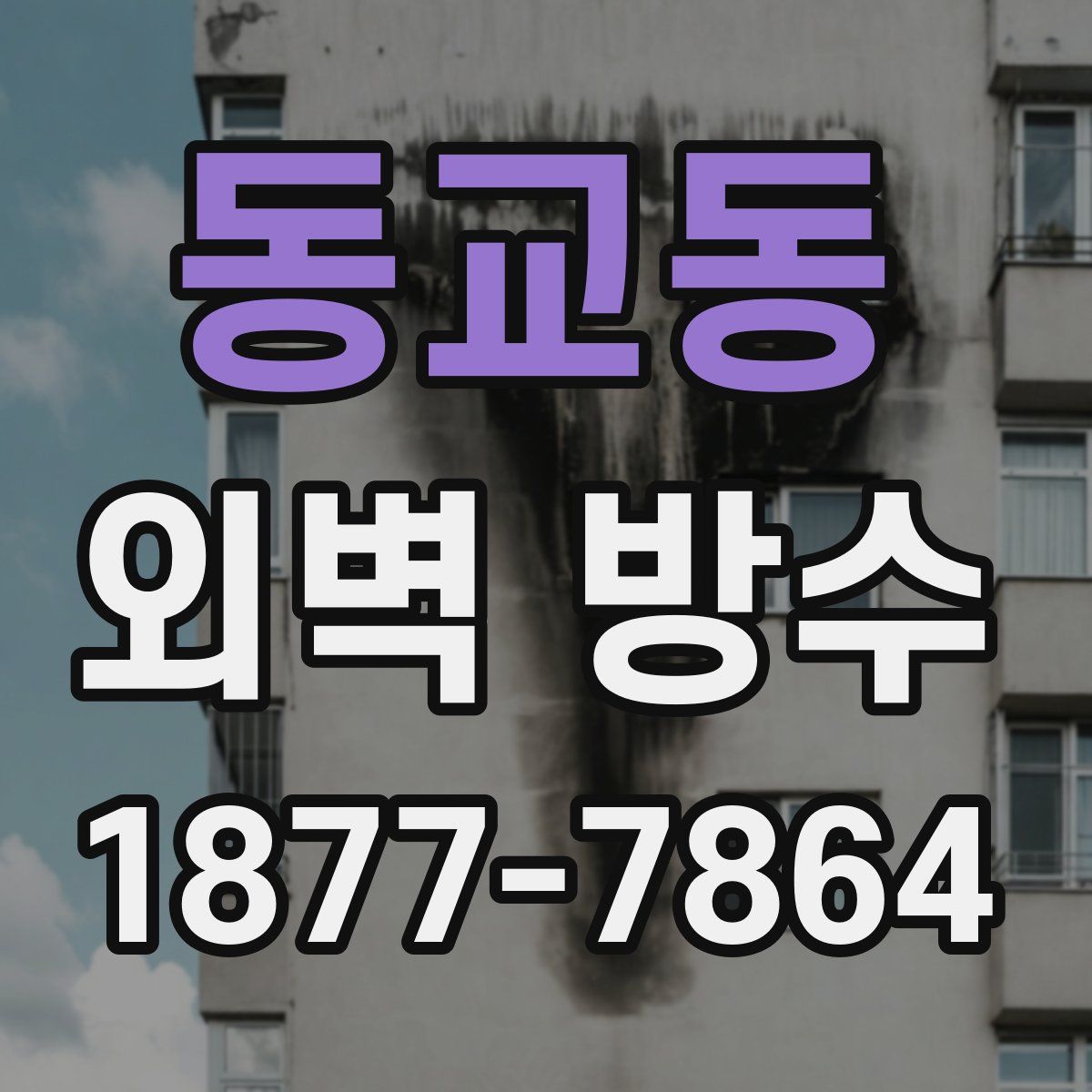 동교동 외벽 방수