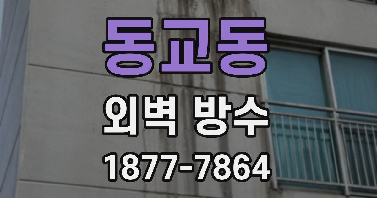 동교동 외벽 방수