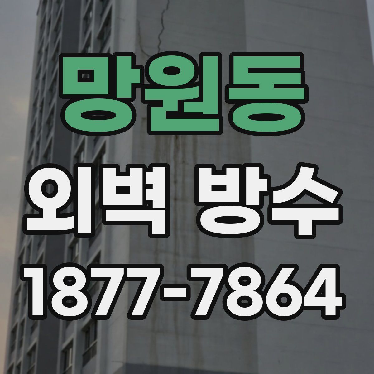 망원동 외벽 방수