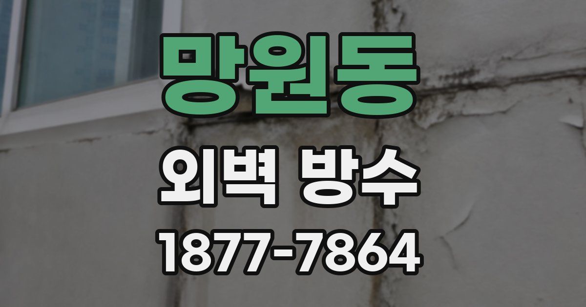 망원동 외벽 방수