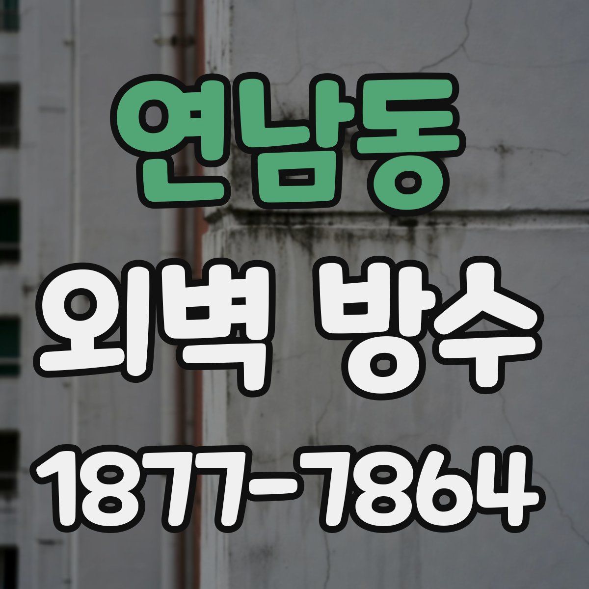 연남동 외벽 방수
