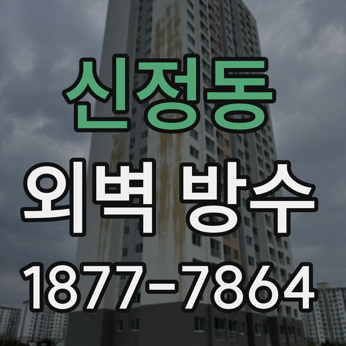 신정동 외벽 방수