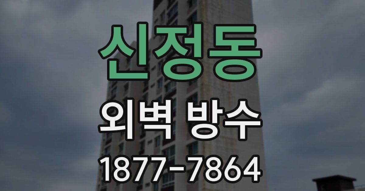 신정동 외벽 방수