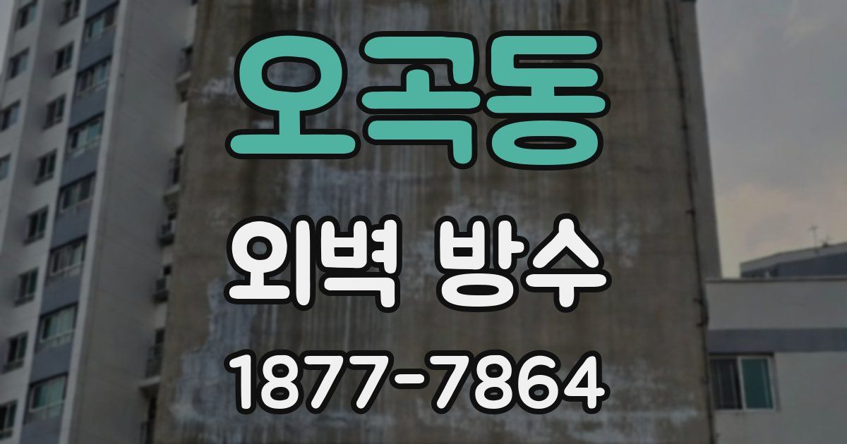 오곡동 외벽 방수