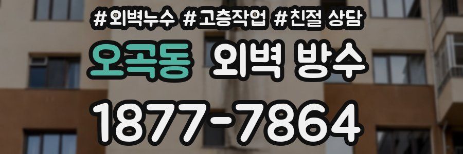 오곡동 외벽 방수