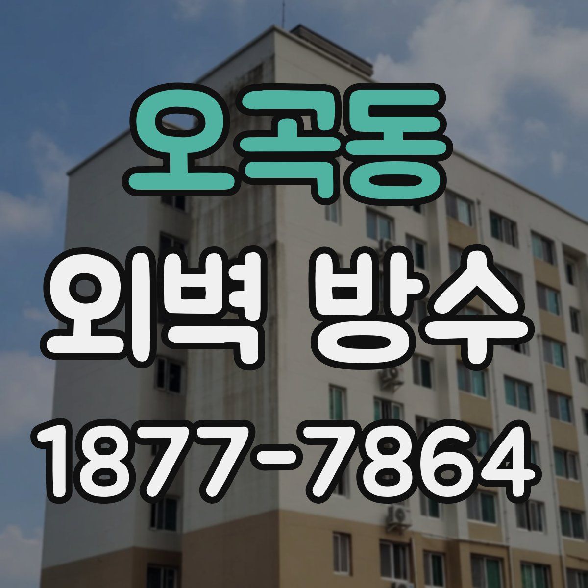 오곡동 외벽 방수