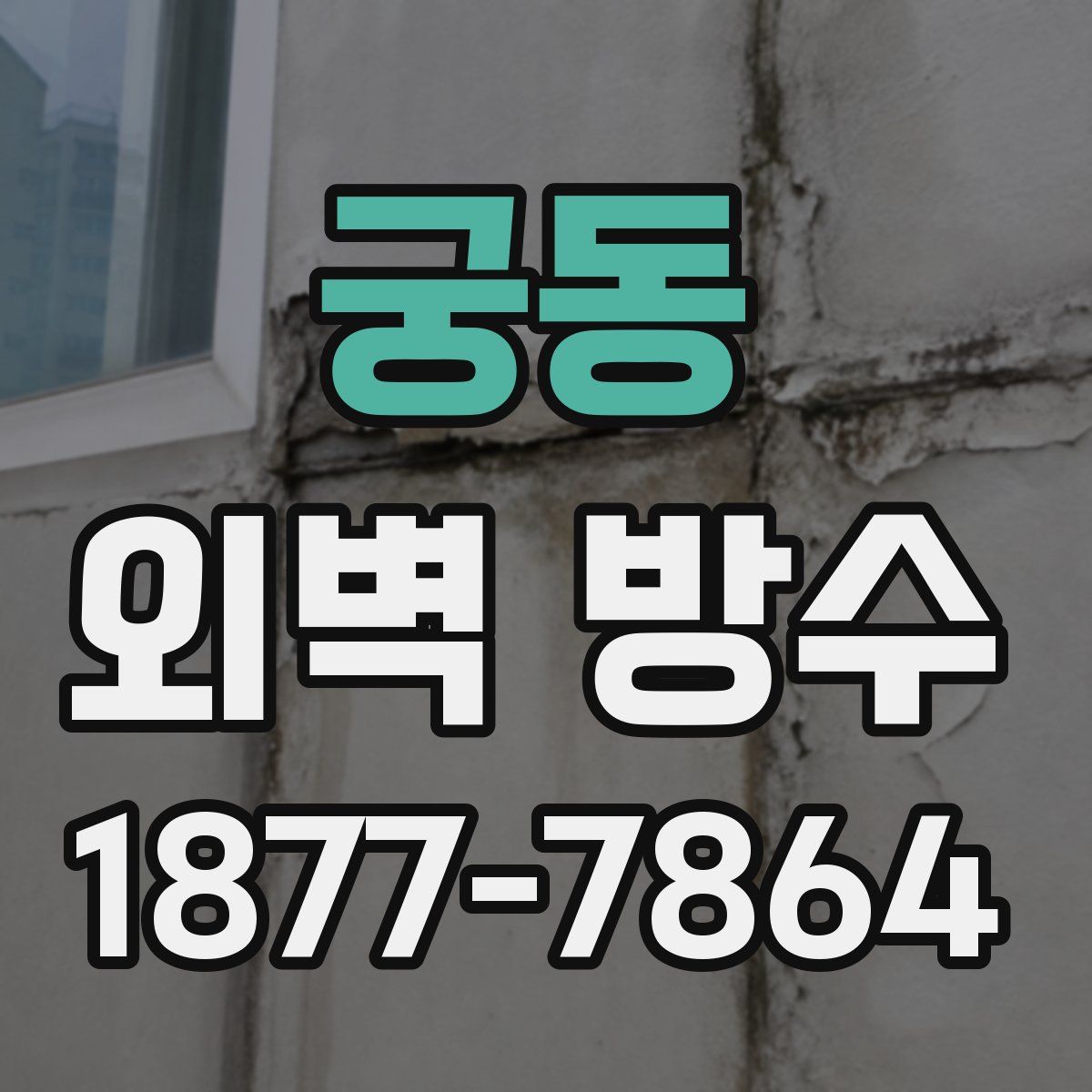 궁동 외벽 방수