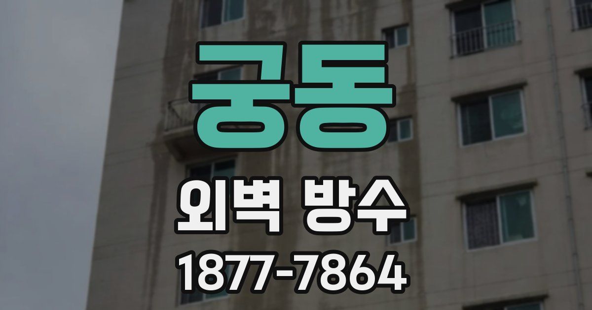 궁동 외벽 방수