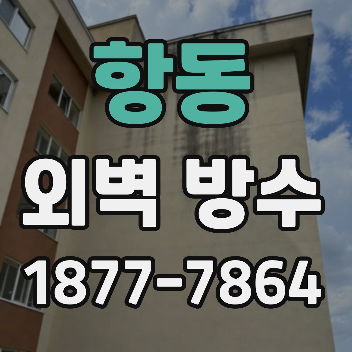 항동 외벽 방수