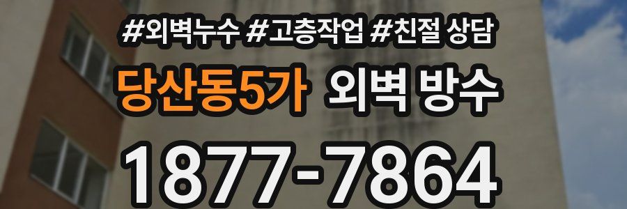 당산동5가 외벽 방수