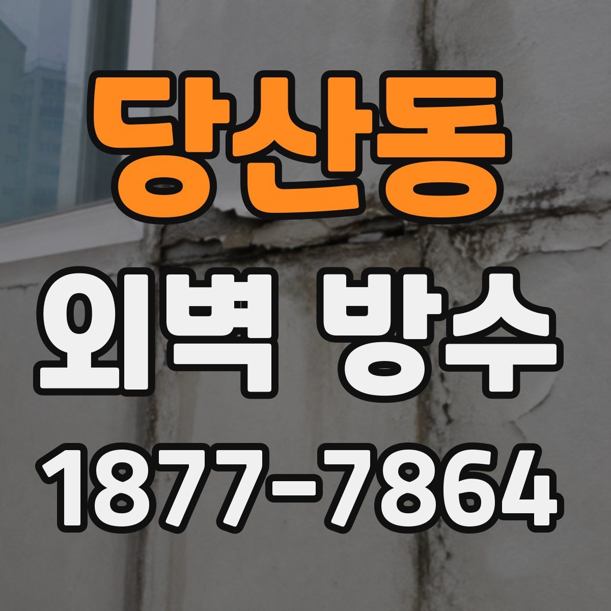 당산동 외벽 방수