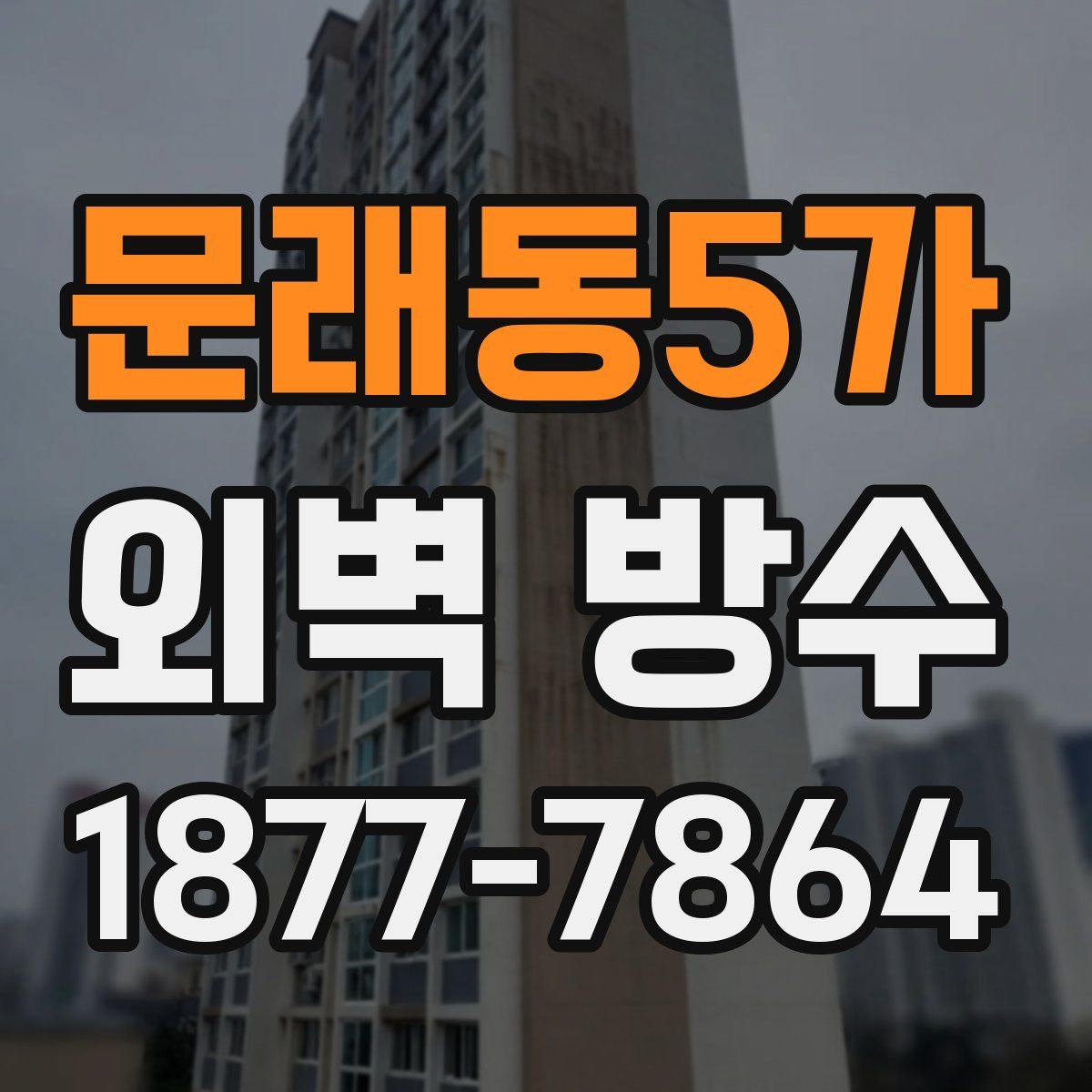 문래동5가 외벽 방수
