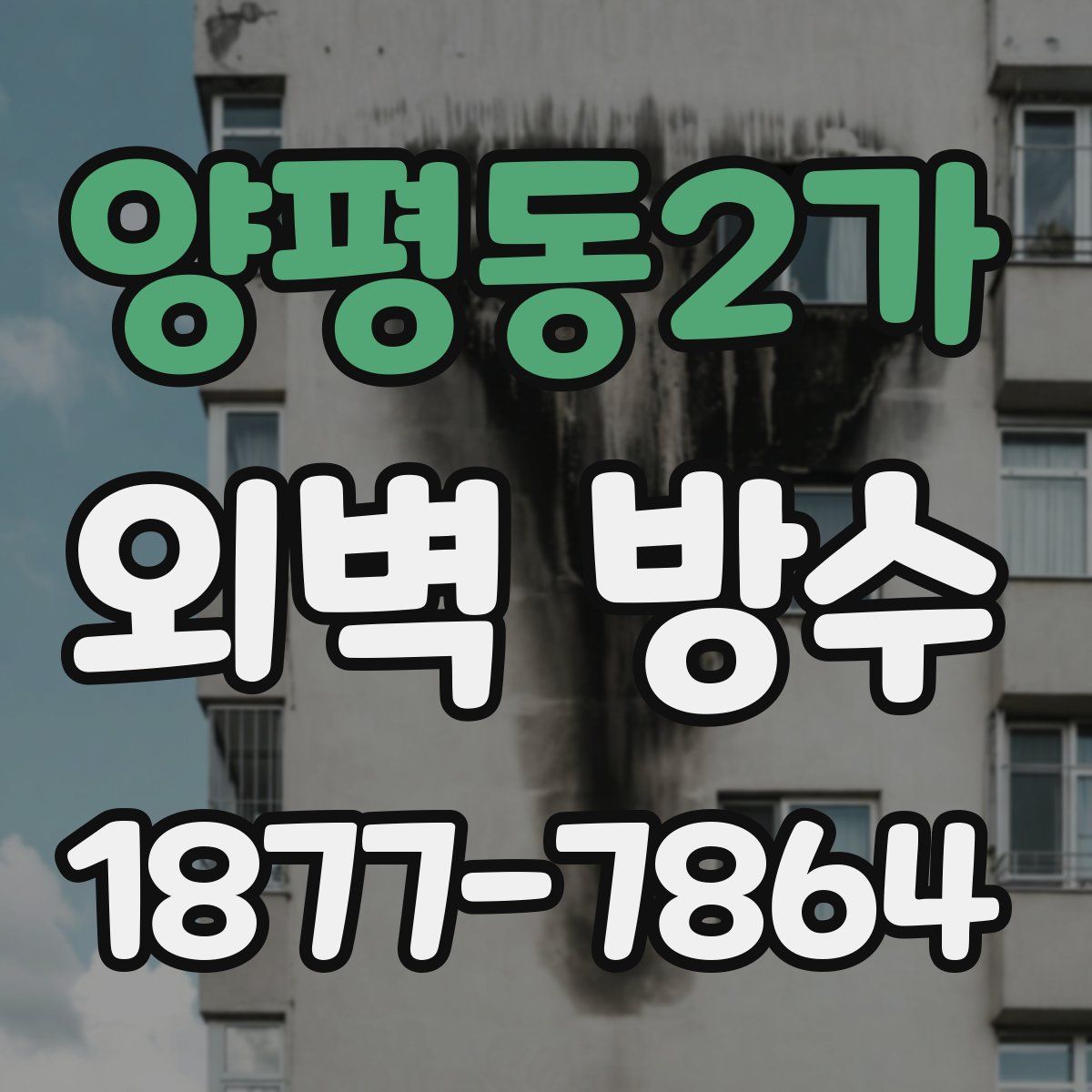 양평동2가 외벽 방수