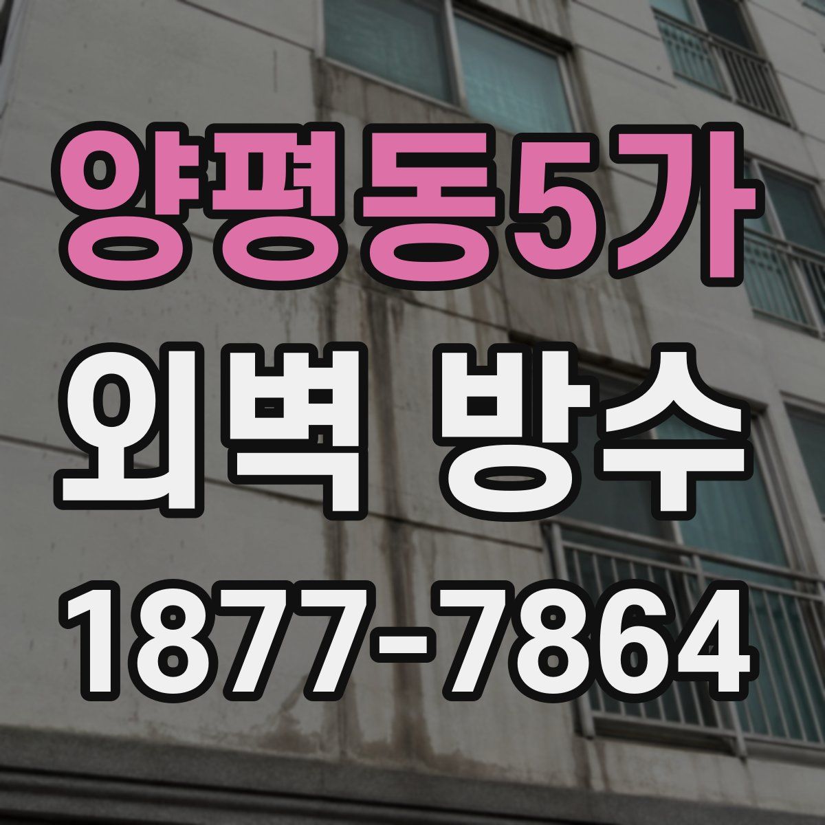 양평동5가 외벽 방수