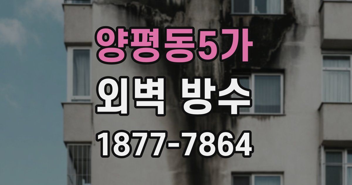 양평동5가 외벽 방수