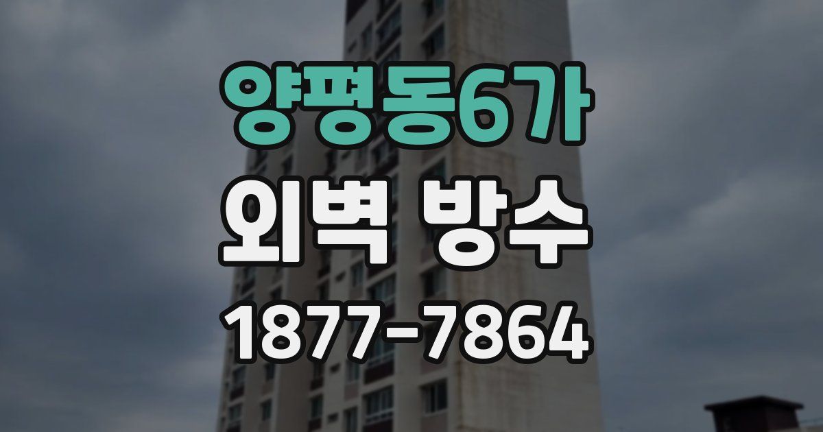양평동6가 외벽 방수