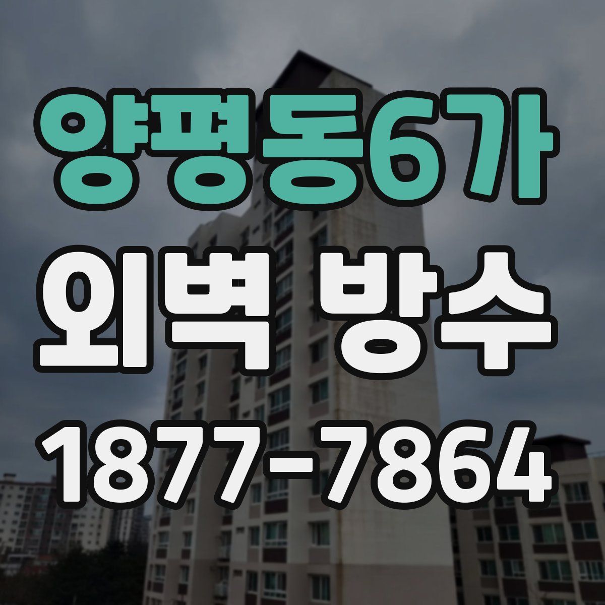 양평동6가 외벽 방수