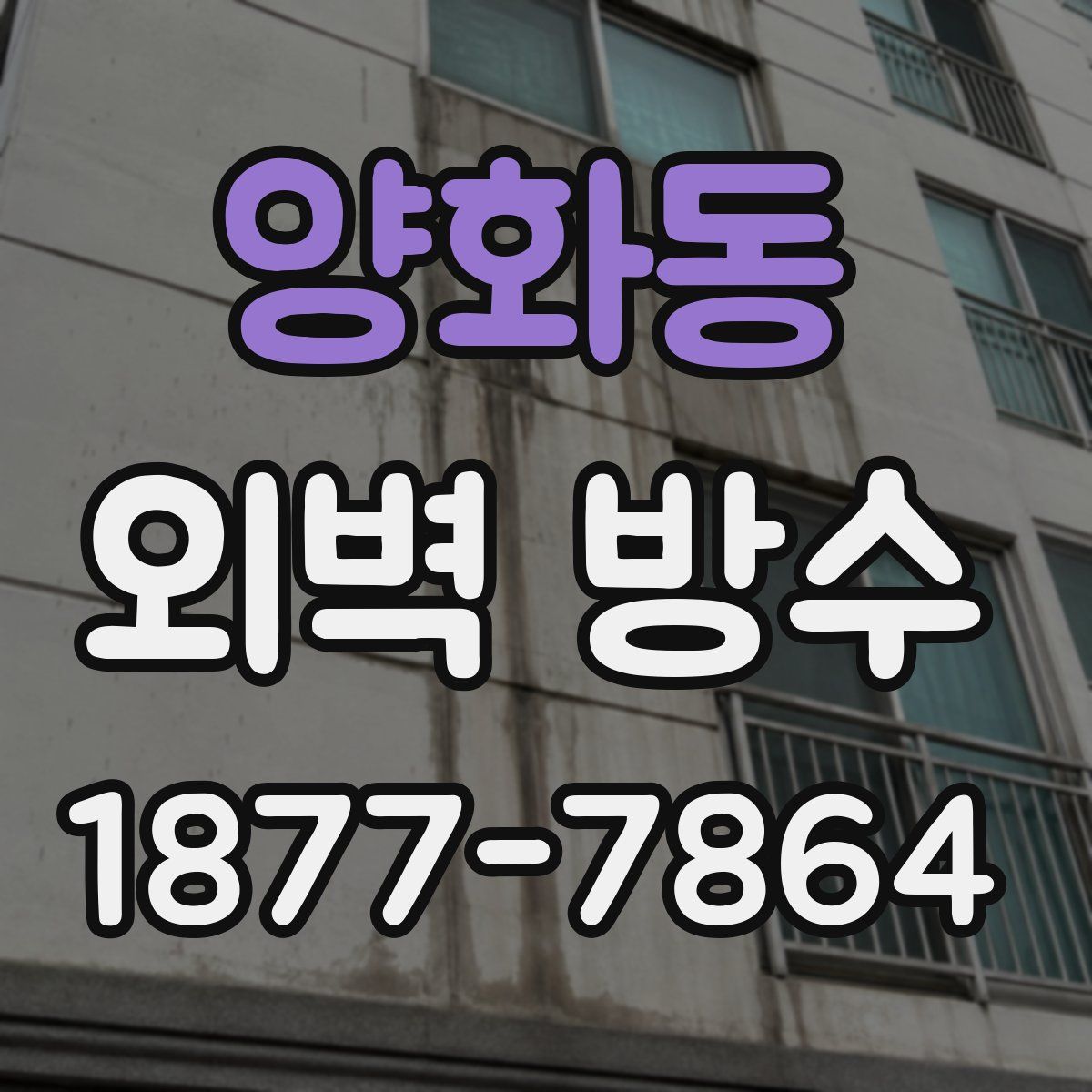 양화동 외벽 방수