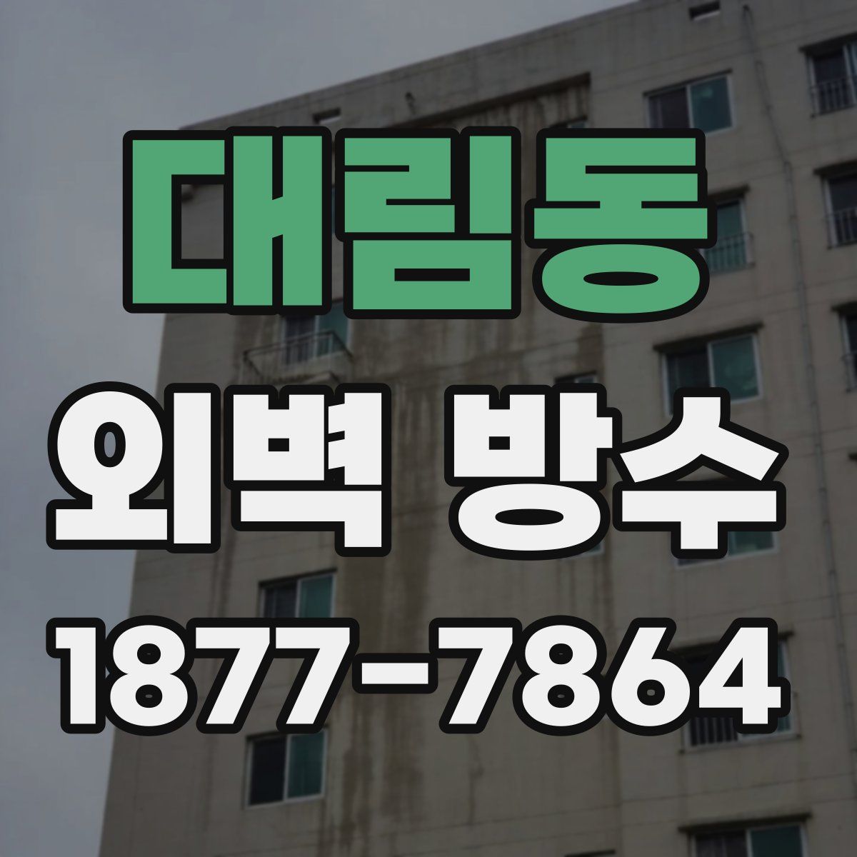 대림동 외벽 방수