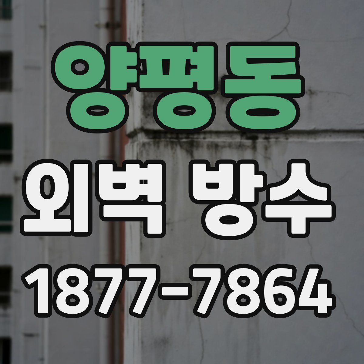 양평동 외벽 방수