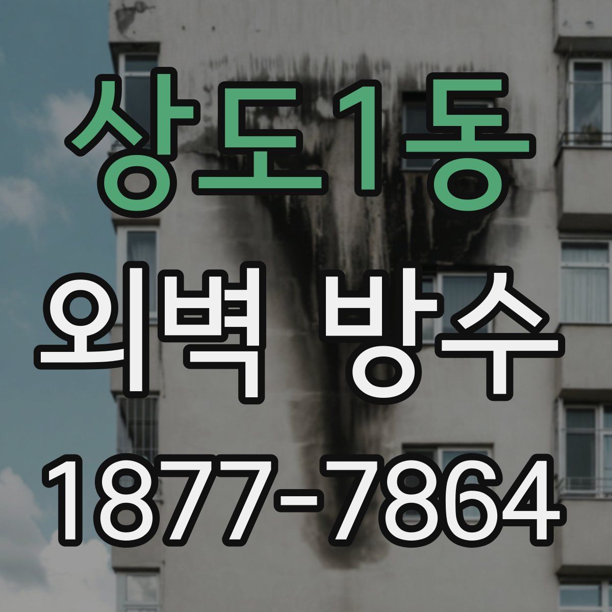 상도1동 외벽 방수