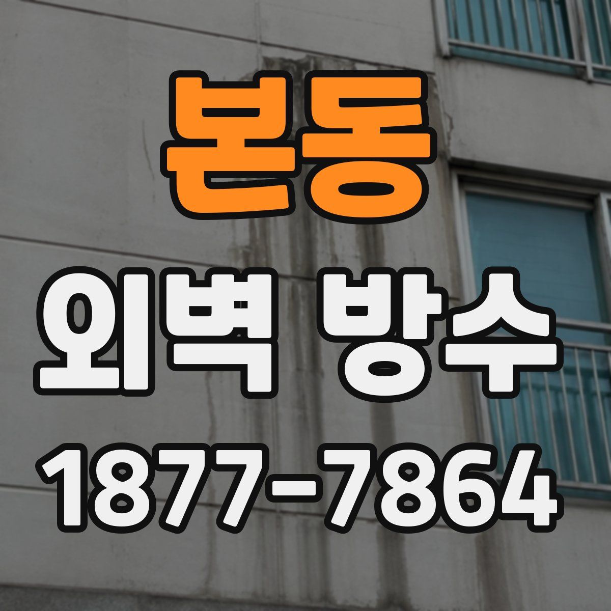 본동 외벽 방수