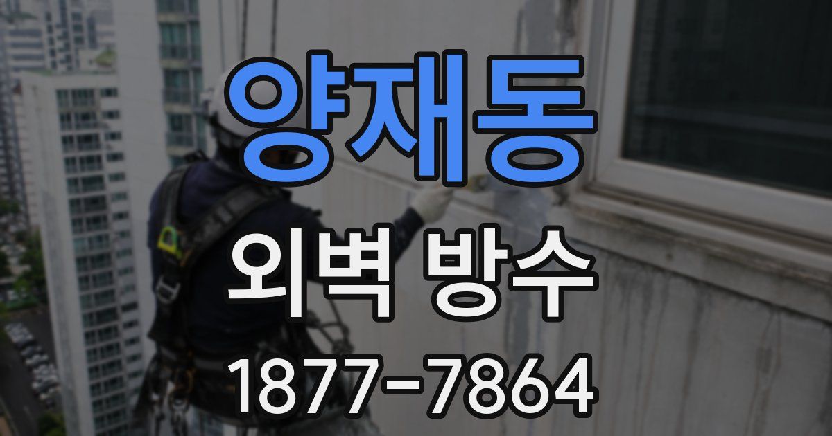 양재동 외벽 방수