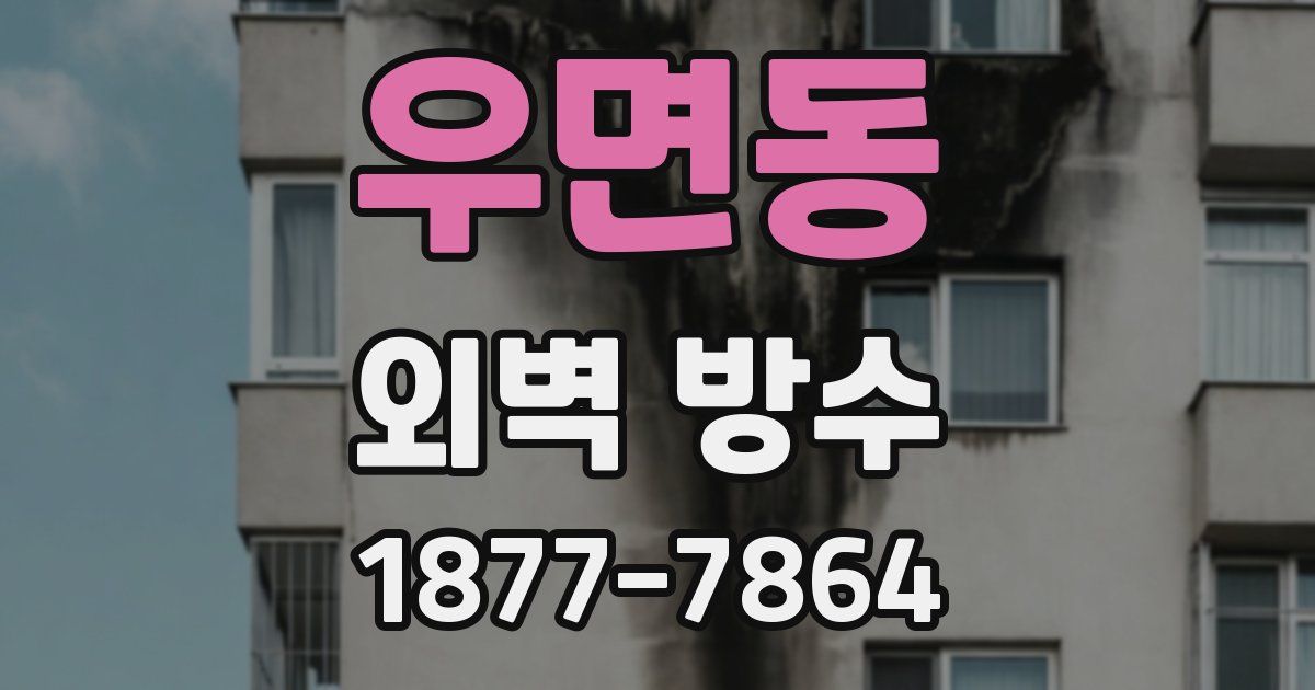 우면동 외벽 방수