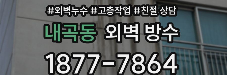 내곡동 외벽 방수