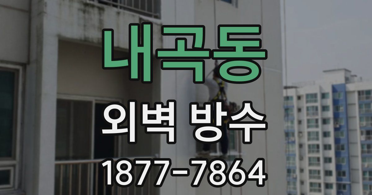 내곡동 외벽 방수