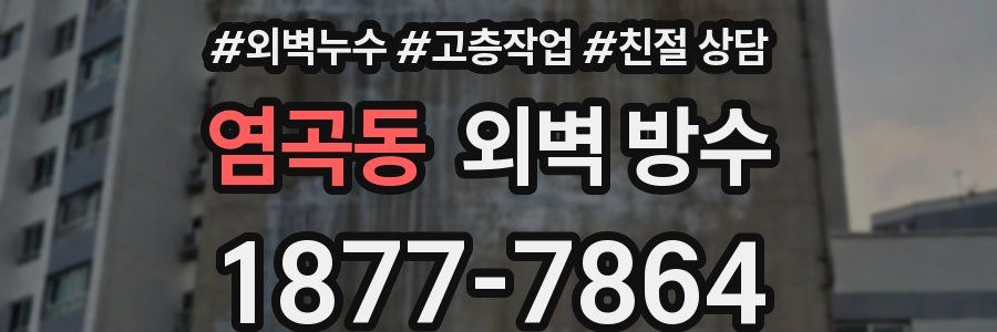 염곡동 외벽 방수