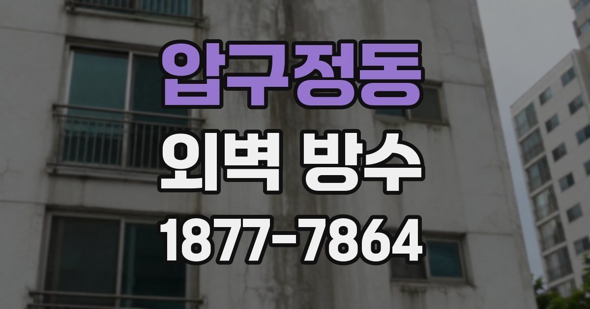 압구정동 외벽 방수