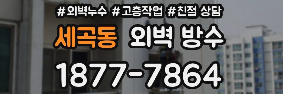 세곡동 외벽 방수
