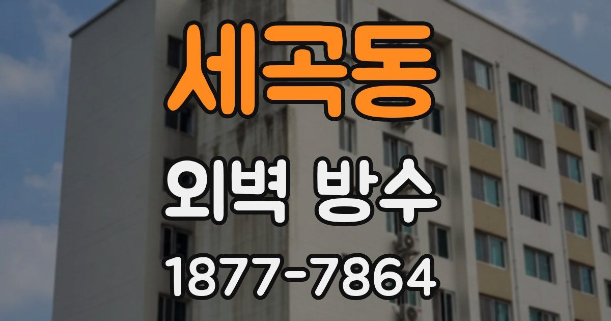 세곡동 외벽 방수
